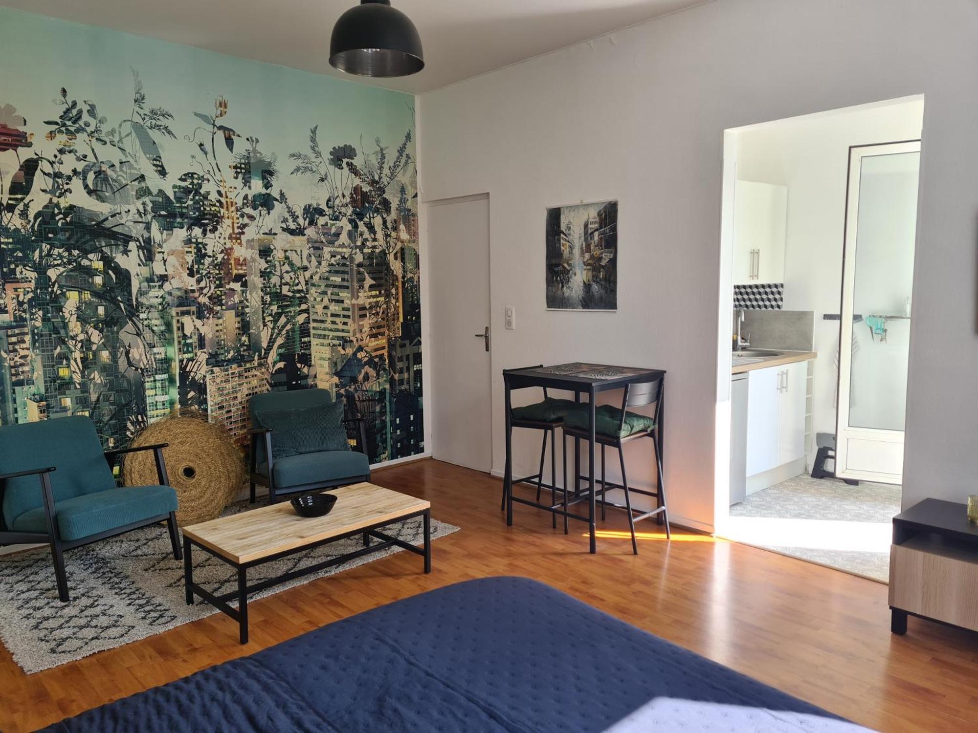 Studio Avec Terrasse Et Place De Parking Toulouse Buitenkant foto